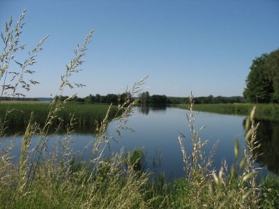 img 1719 20160502 168512 20180426