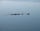 img 1723 20160502 137971 20180426